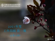 2021年度工作简报　第一期